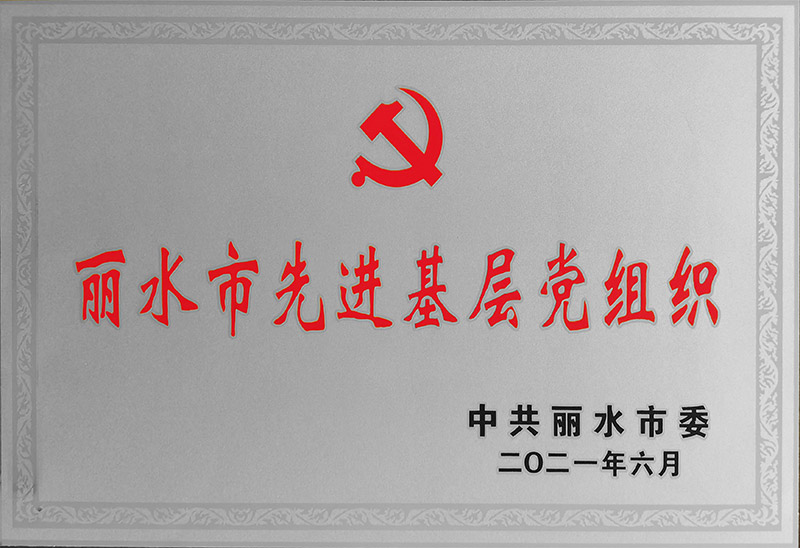 丽水市先进基层党组织
