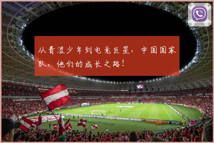 从青涩少年到电竞巨星，中国国家队，他们的成长之路！