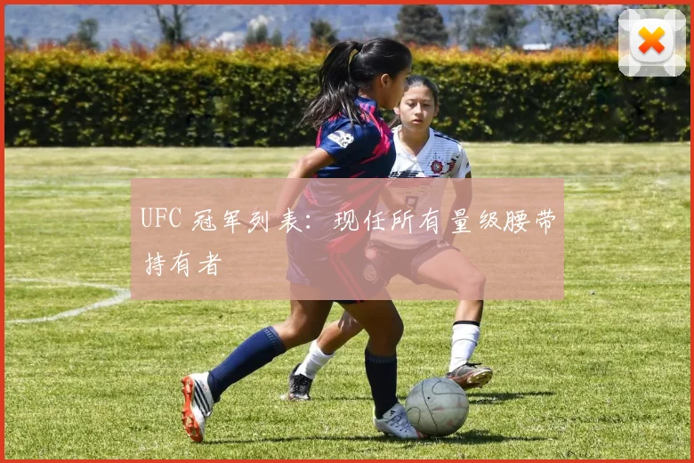 UFC 冠军列表:现任所有量级腰带持有者