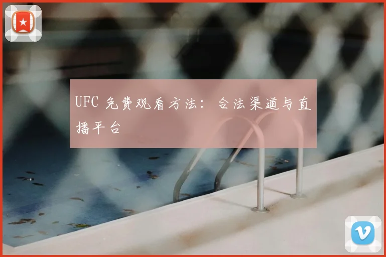 UFC 免费观看方法:合法渠道与直播平台