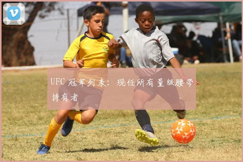 UFC 冠军列表:现任所有量级腰带持有者